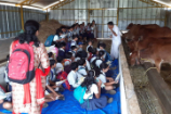 Vrindavan Farm Visit