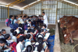 Vrindavan Farm Visit