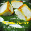 Farm Fresh Paneer