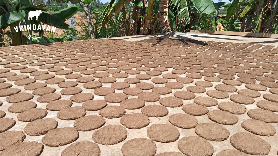 Cow dung cake in making